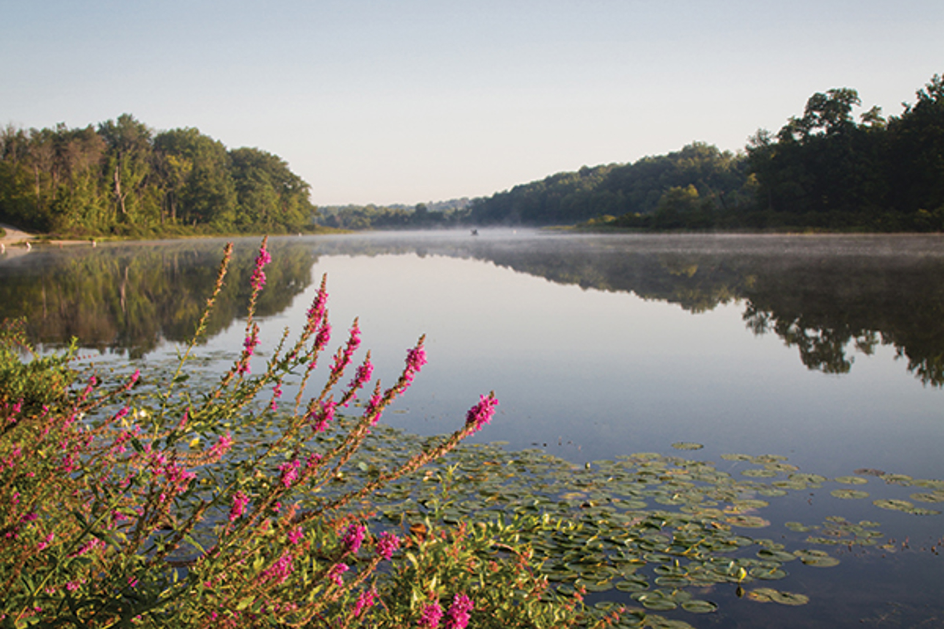 5 Unique Campsites to Visit in Northeast Ohio
