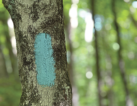 Backpacking Ohio's 1,444-Mile-Long Buckeye Trail