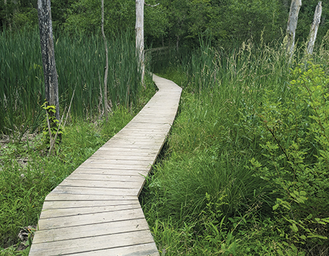Backpacking Ohio's 1,444-Mile-Long Buckeye Trail