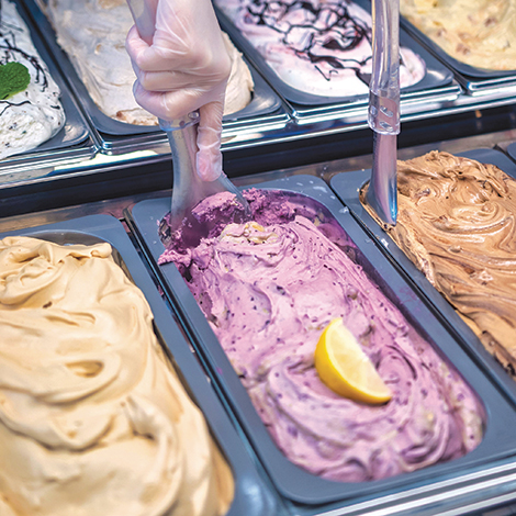 Little Mountain Creamery Concord